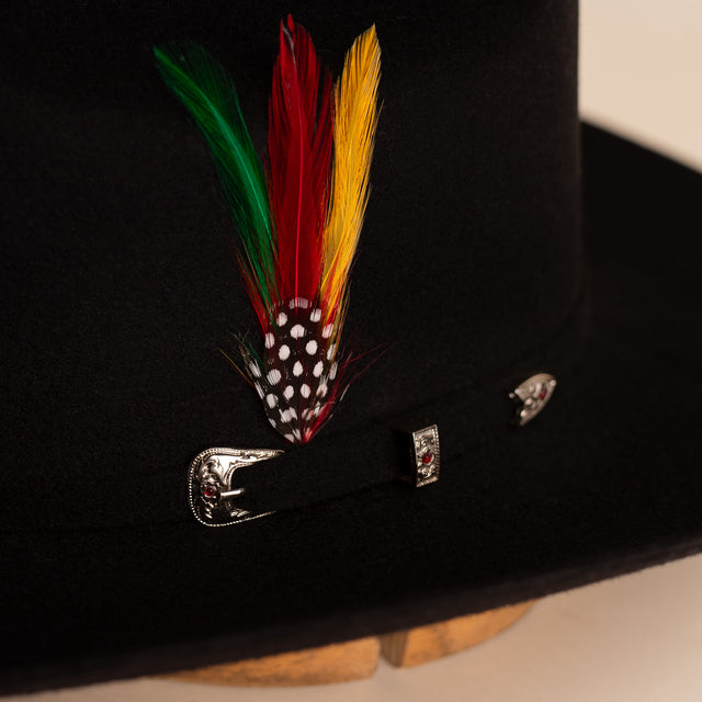 Plumas