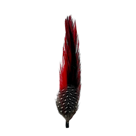 Pluma Roja Con Negro
