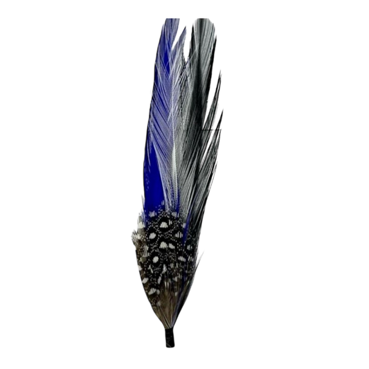 Pluma Negra con Azul