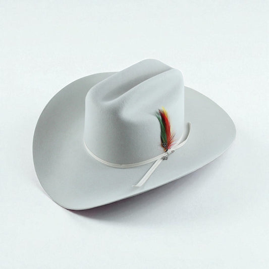 Stetson 6X Rancher Silvergrey