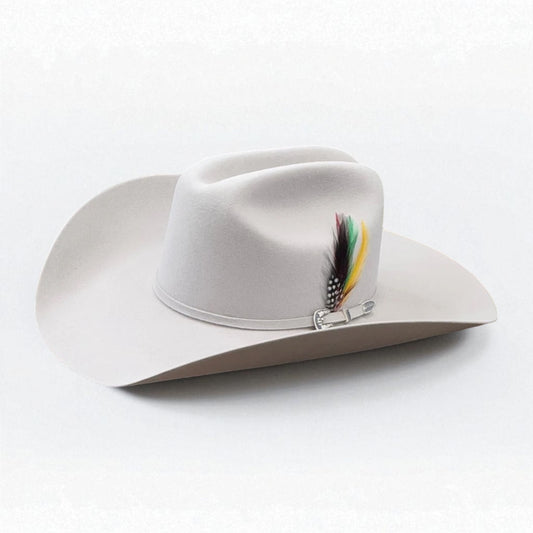 Stetson 6X Skyline silvergrey