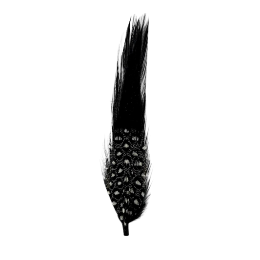 Pluma negra