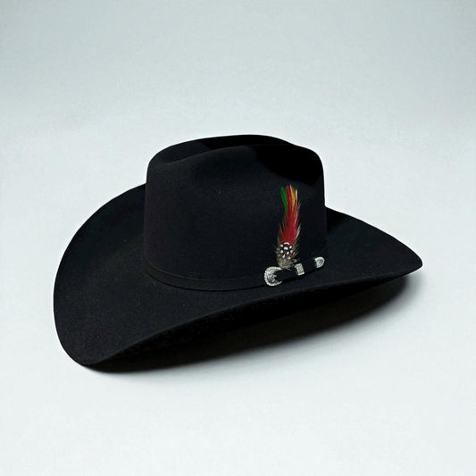 Stetson 10X Shasta Negra