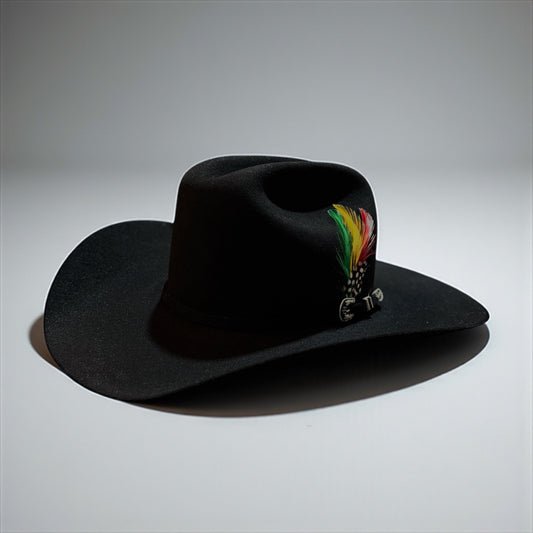 Stetson 6X Skyline Negra