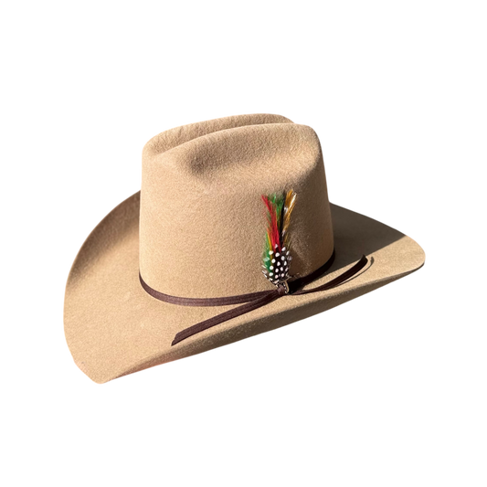 Texana Jiménez Patrón Arena