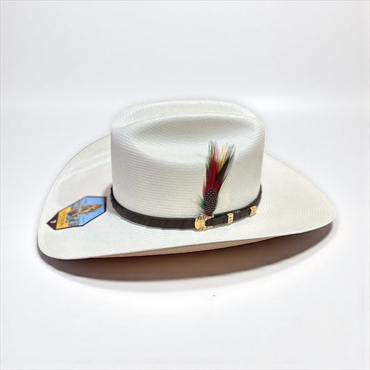 Stetson 1000X Evilla de Oro